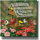 Fête d'auatomne dans l'arrière-cour = Backyard Birds Fall Feast [Casse-tête]